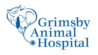 Grimsby Animal Hospital